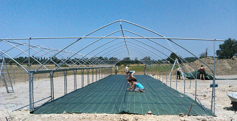 Back To Work Activity In Organic Market Gardening