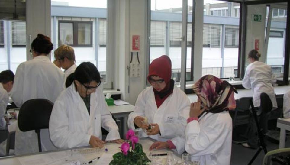When scientists work with schoolchildren diaporama,9067-P1019075.jpeg
