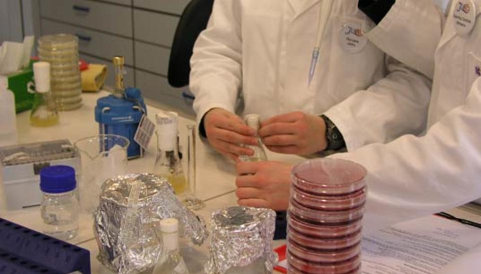 When scientists work with schoolchildren diaporama,9076-P4198366.jpeg