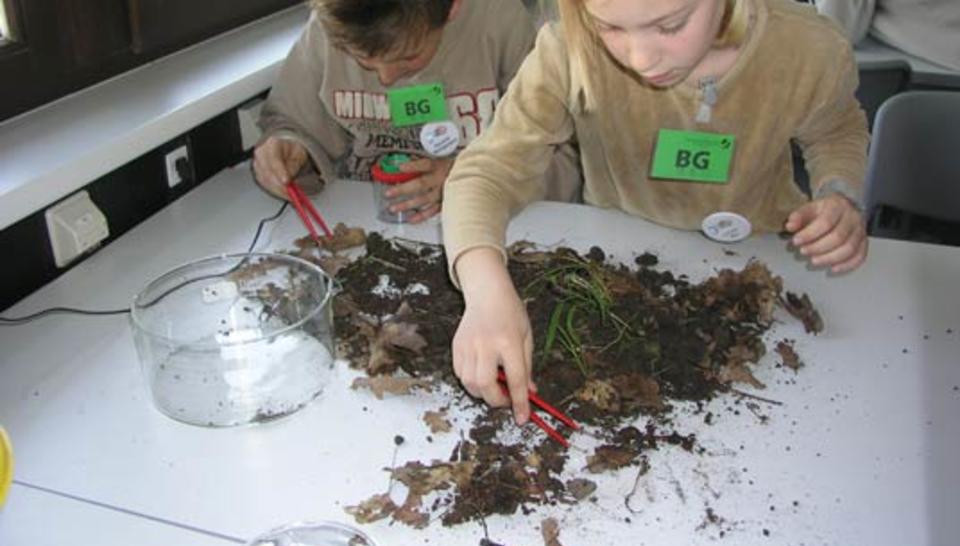 When scientists work with schoolchildren diaporama,9077-P5194492.jpeg
