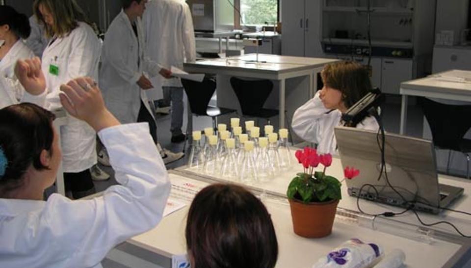When scientists work with schoolchildren diaporama,9079-P6214977.jpeg