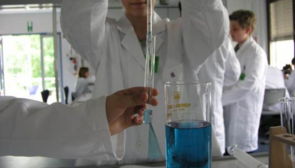 When scientists work with schoolchildren diaporama,9086-P6214994.jpeg