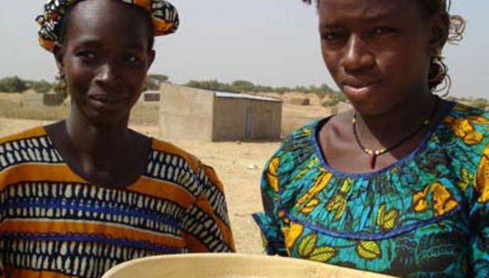 From Montreuil to Yelimane, in Mali diaporama,8946-nov-mali-219.jpeg