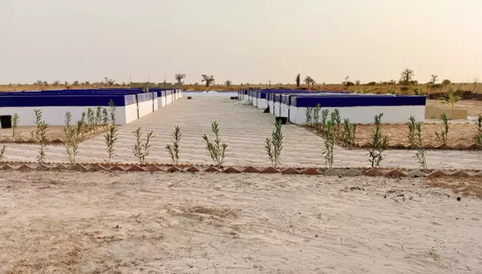 Une écloserie inaugurée à Mbodiène pour faire de l’aquaculture une filière d’avenir