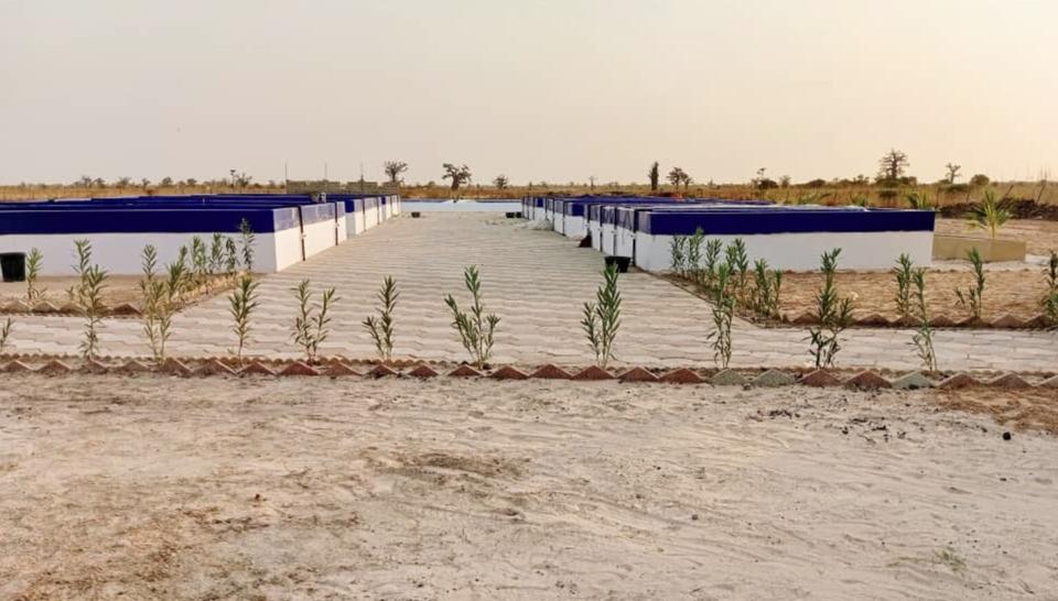 Une écloserie inaugurée à Mbodiène pour faire de l’aquaculture une filière d’avenir