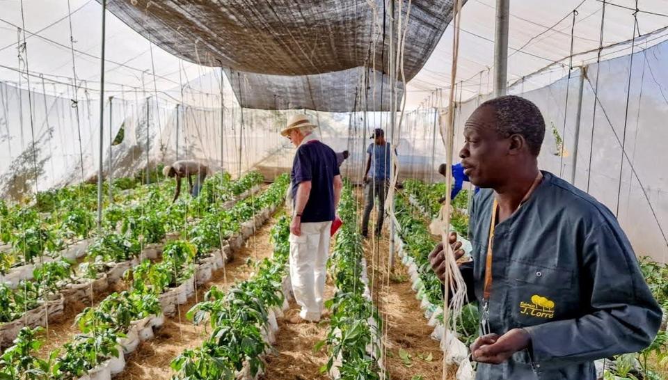 L’aquaculture a pris une nouvelle dimension au Sénégal, fin janvier, avec l’inauguration d’une infrastructure phare pour développer cette filière d’avenir. L’écloserie sortie de terre avec le soutien de la fondation Veolia permettra une production massive d’intrants piscicoles, au cœur du circuit vertueux de l’aquaculture maraîchère.