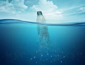 Crédits Fondation Tara