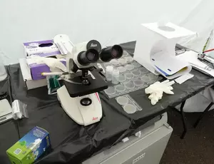 Laboratoire FSFL