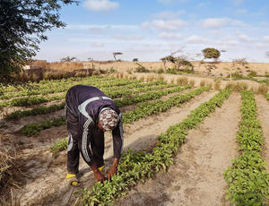 Supported Projects Fondation Veolia Supported Projects Fondation Veolia