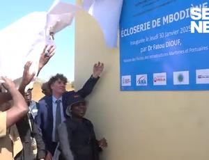Une écloserie inaugurée à Mbodiène pour faire de l’aquaculture une filière d’avenir