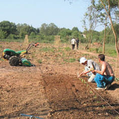 Cultivating the fruits of integration 8195,raw,14_france.jpg