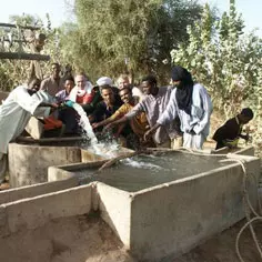 Developing Market Gardening in the Aïr Desert 8343,raw,1120,7SD0940-Grain-de-sable.jpg