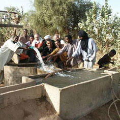 Developing Market Gardening in the Aïr Desert 8343,raw,1120,7SD0940-Grain-de-sable.jpg