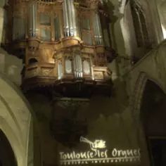 Organs to Develop the Musical Expression of Children in Difficulty 8351,raw,7SD0908-Toulouse-Les-Orgues.jpg