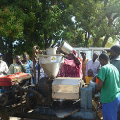The jatropha sector, a powerful impetus for local development in West Africa 9611,raw,12EB1652-GERES_Machine-a-tr.jpg