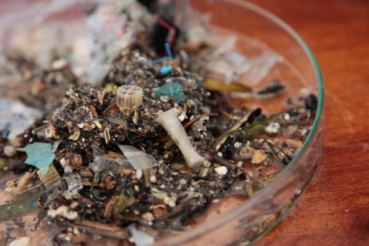 Echantillons de plastiques prélevés durant l'expédition Tara Méditerranée - Crédits photos: N.Pansiot/TaraExpeditions