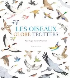 Les oiseaux globe-trotters GRAND