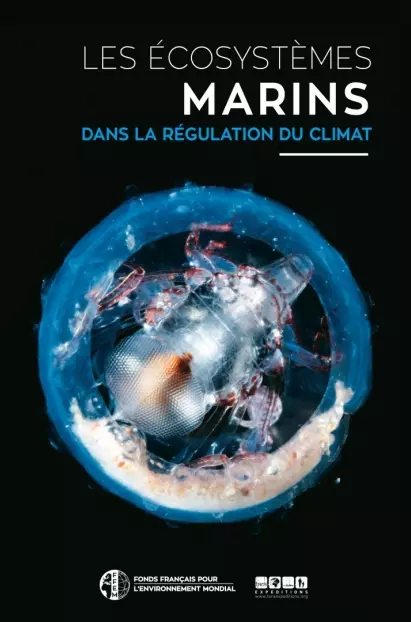 Les écosystèmes marins dans la régulation du climat (Prix du Livre Environnement 2016) Les écosystèmes marins dans la régulation du climat (Prix du Livre Environnement 2016)