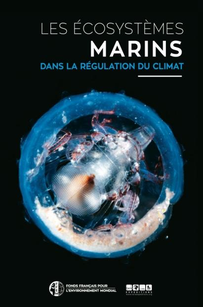 Les écosystèmes marins dans la régulation du climat (Prix du Livre Environnement 2016)