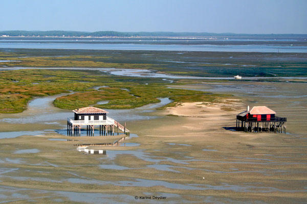 UICN-Arcachon