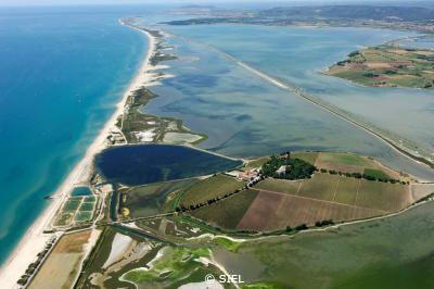 UICN-Maguelone