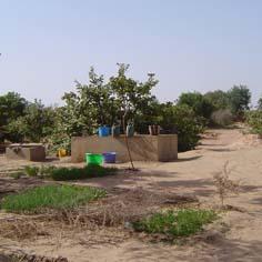 Améliorer les conditions de vie dans les villages 6523,raw,226_senegal.jpg