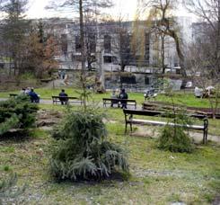 Le traitement de l'eau expliqué dans un jardin botanique 6783,raw,environnement-veolia.jpg