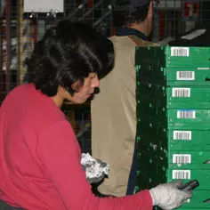 Une entreprise d'insertion pour les plus fragiles 6918,raw,7IP0933-Ares-Boissy-St-Lege.jpg