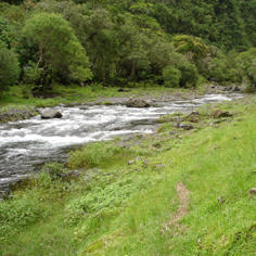 Learning about the environment with a rod and line 7885,raw,180_france.jpg