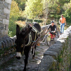 An innovative off-road solution for mountain lovers 7941,raw,5EN0459.jpg