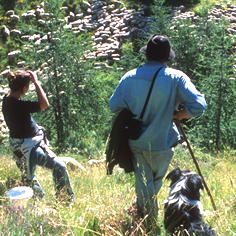 A modern version of “The Wolf and the Sheep” 8000,raw,310_france.jpg