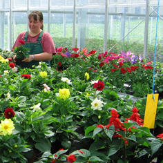 Développer le jardinage pour employer des personnes handicapées 8060,raw,284_allemagne.jpg