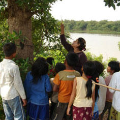 Protect birds while helping humans 8069,raw,1132,6CV678-Osmose.jpg