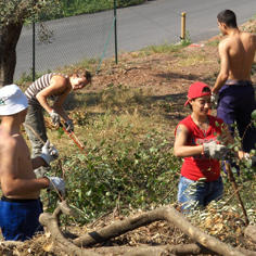 Standing up straight in the quiet of the olive grove 8123,raw,6IP767_236.jpg