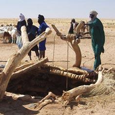 Secure water supply for thousands of nomads 8129,raw,330_inde.jpg