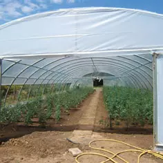 Developing market gardening for a place in the sun 8271,raw,1134,7IP860-Jardins-de-Demeter.jpg