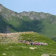 Studying birds in the Ariège 8285,raw,ana-236.jpg