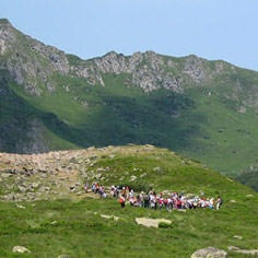 Studying birds in the Ariège 8285,raw,ana-236.jpg