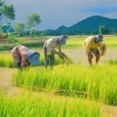 Safeguarding the Water Supply of a Rural Commune 8331,raw,7SD955-la-pirogue-d_or-1.jpg