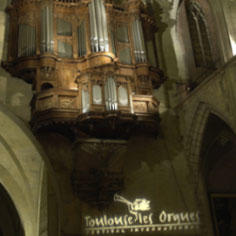 Organs to Develop the Musical Expression of Children in Difficulty 8351,raw,7SD0908-Toulouse-Les-Orgues.jpg