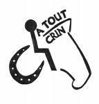 Accommodating Handicapped Horsemen 8355,raw,7SD0941-A-tout-crin.jpg