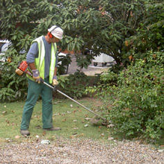Régie de Quartier d'Agen gets a green thumb 8483,raw,Regie-d-Agen.jpg