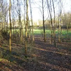 Upgrading and remediating an abandoned natural site 8503,raw,Commune-de-Pont-St-Martin-1.jpg