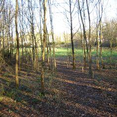 Upgrading and remediating an abandoned natural site 8503,raw,Commune-de-Pont-St-Martin-1.jpg