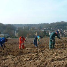 Organic market gardening: a fantastic way to fight exclusion 8557,raw,ACR-1.jpg