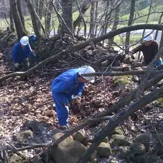 Environmental activities for workforce development in a rural zone of a job disaster area 8649,raw,9IP1259-Meygalit-236.jpg