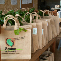 "Graine de Cocagne": an extraordinary garden in the heart of the social economy and sustainable development. 8670,raw,9IP1289-Parenthese.jpg