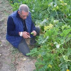 A bioclimatic home for the sick or dying 8671,raw,9SD1266-g.jpg