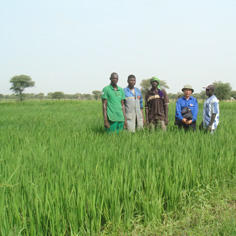 Helping the communes of Mali manage their access to drinking water 8693,raw,10SD1338-236x236.jpg