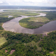 Conserving a vast and recently discovered coral reef 8739,raw,paysage-redim.jpg